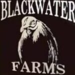 Blackwater Farm