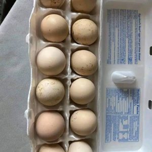 White Kelso Eggs