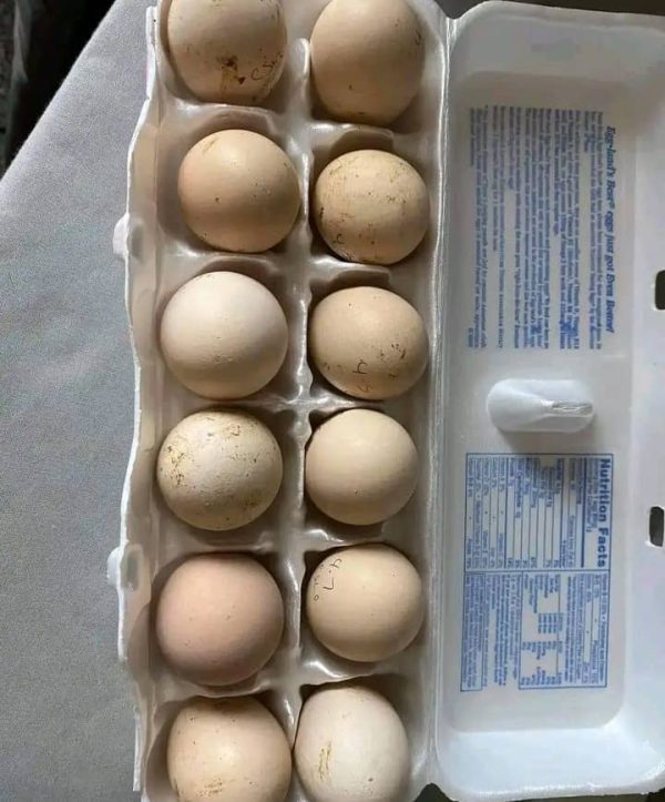 White Kelso Eggs