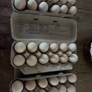 Cardinal Kelso Eggs