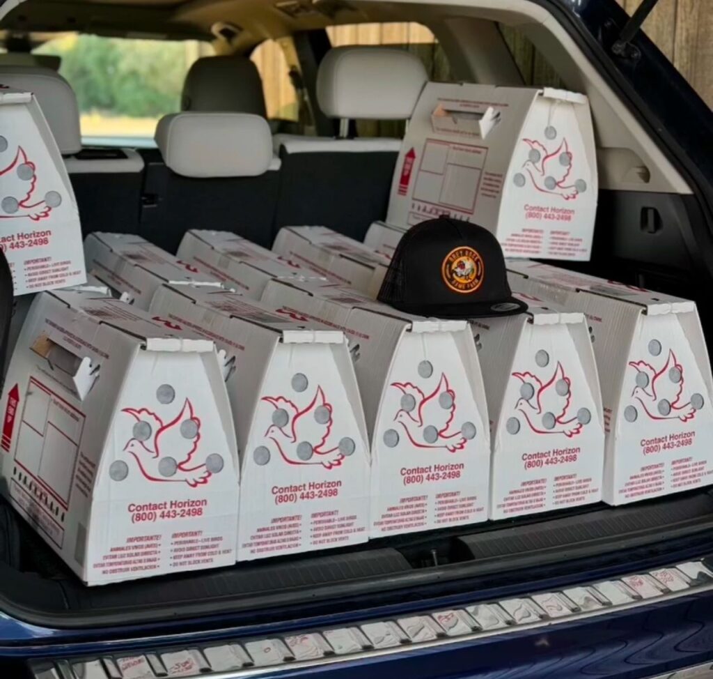 Johnnie Jumper Gamefarm