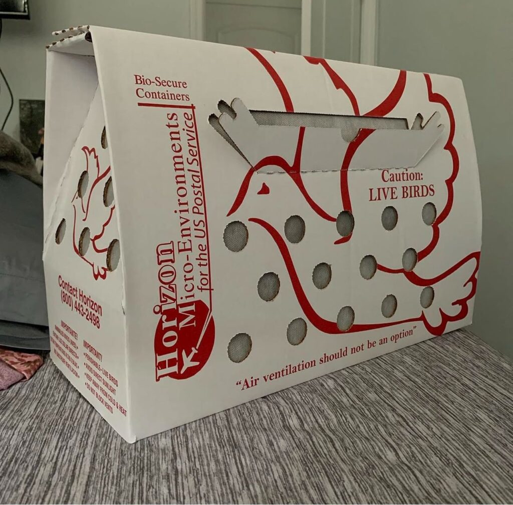 Johnnie Jumper Gamefarm