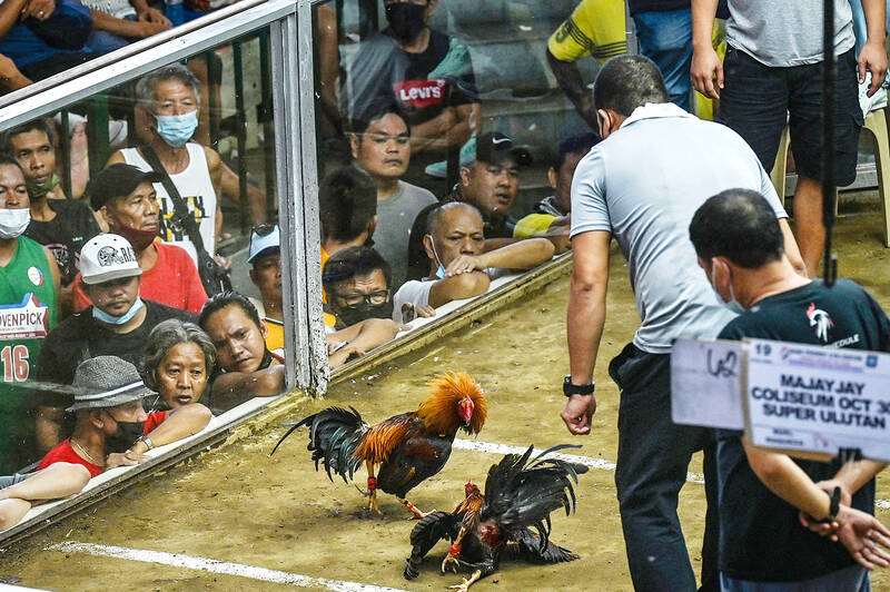 Johnnie Jumper Gamefarm