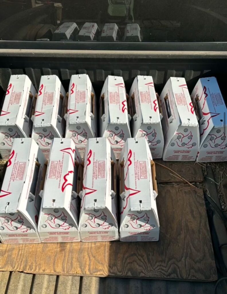 Johnnie Jumper Gamefarm