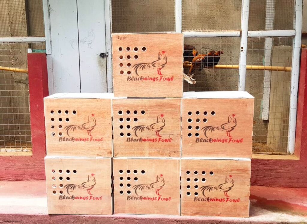 Johnnie Jumper Gamefarm