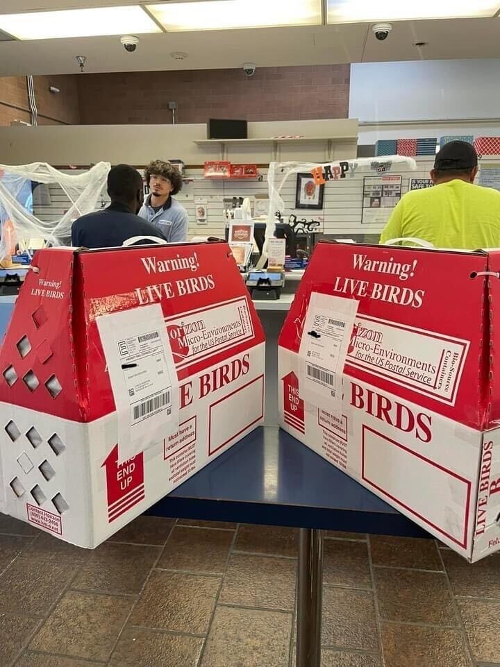 Johnnie Jumper Gamefarm