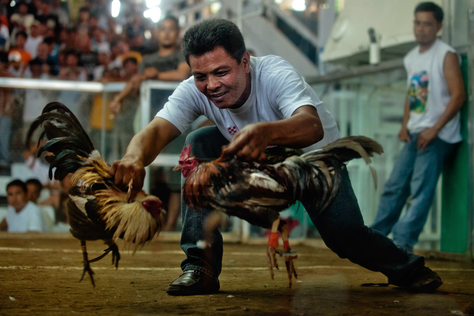 Johnnie Jumper Gamefarm